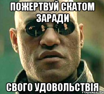 пожертвуй скатом заради свого удовольствія, Мем  а что если я скажу тебе