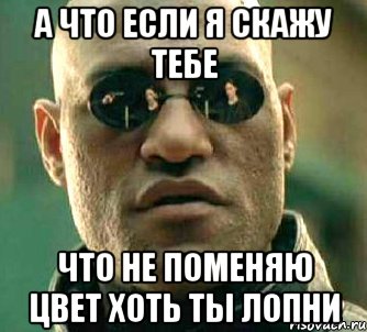 А что если я скажу тебе Что не поменяю цвет хоть ты лопни, Мем  а что если я скажу тебе