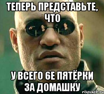 Теперь представьте, что У всего 6е пятёрки за домашку, Мем  а что если я скажу тебе