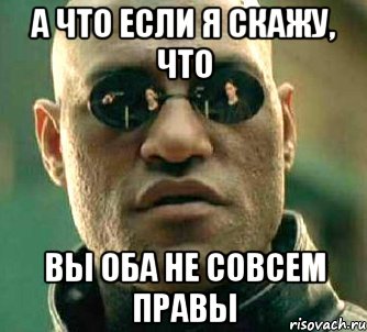 А что если я скажу, что вы оба не совсем правы, Мем  а что если я скажу тебе