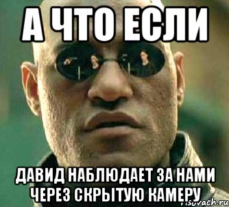 А что если Давид наблюдает за нами через скрытую камеру, Мем  а что если я скажу тебе