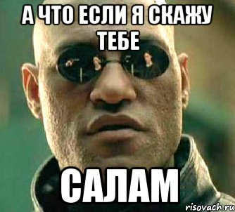 а что если я скажу тебе салам, Мем  а что если я скажу тебе