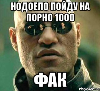 нодоело пойду на порно 1000 фак, Мем  а что если я скажу тебе