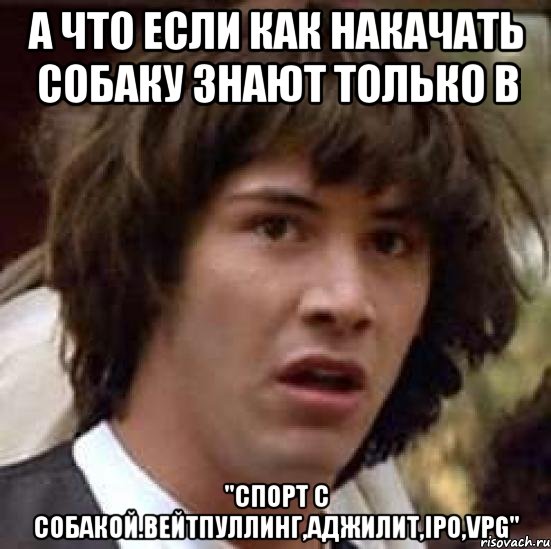 А что если как накачать собаку знают только в "Спорт с собакой.Вейтпуллинг,аджилит,IPO,VPG", Мем А что если (Киану Ривз)