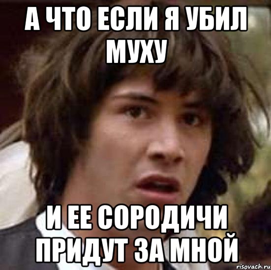 А что если я убил муху И ее сородичи придут за мной, Мем А что если (Киану Ривз)