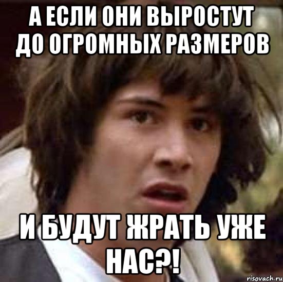 а если они выростут до огромных размеров и будут жрать уже НАС?!, Мем А что если (Киану Ривз)