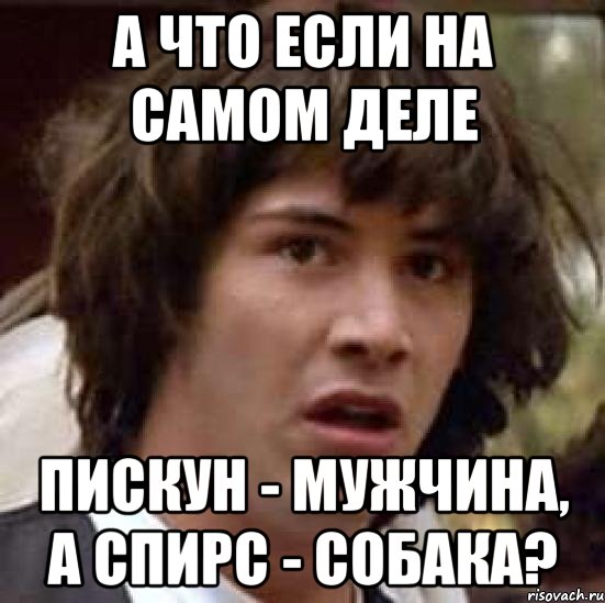 А что если на самом деле Пискун - мужчина, а Спирс - собака?, Мем А что если (Киану Ривз)