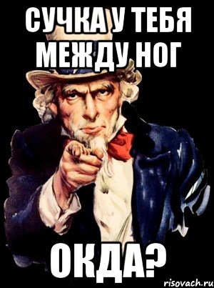 сучка у тебя между ног ОКДА?, Мем а ты