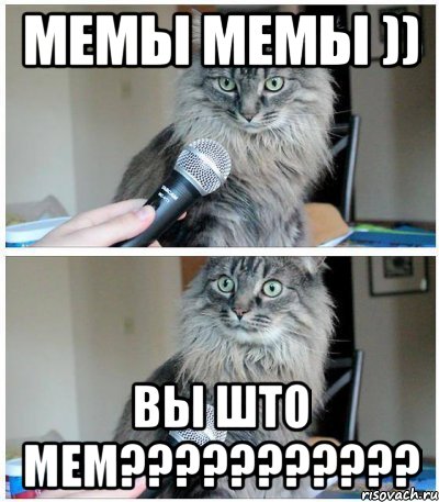 мемы мемы )) вы што мем???????????, Комикс  кот с микрофоном