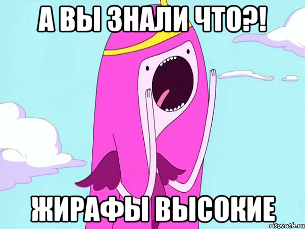 А вы знали что?! Жирафы высокие