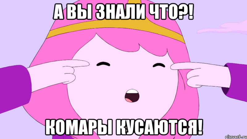 А вы знали что?! Комары кусаются!