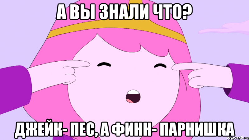 А вы знали что? Джейк- пес, а Финн- парнишка