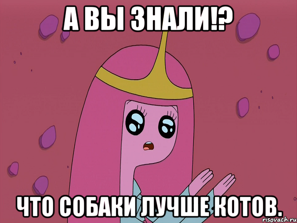 А вы знали!? Что собаки лучше котов.
