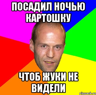 посадил ночью картошку чтоб жуки не видели