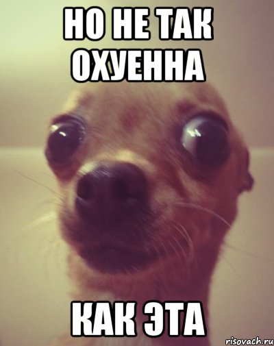 но не так охуенна как эта