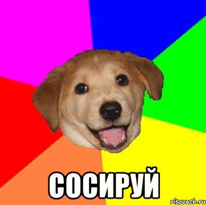  Сосируй, Мем Advice Dog