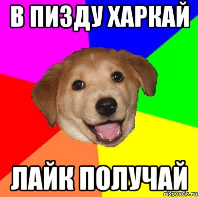 В ПИЗДУ ХАРКАЙ ЛАЙК ПОЛУЧАЙ, Мем Advice Dog