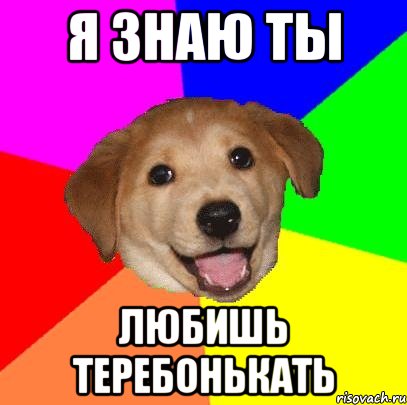 Я знаю ты любишь теребонькать, Мем Advice Dog