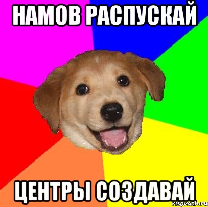 Намов распускай Центры создавай, Мем Advice Dog