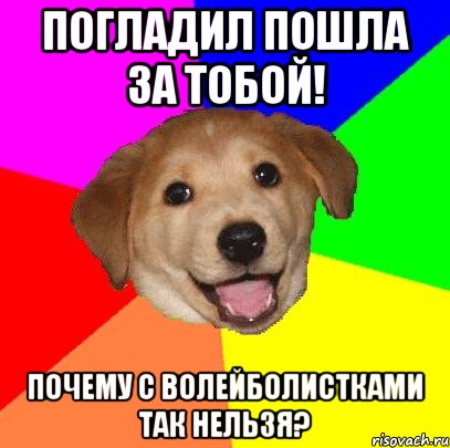 Погладил пошла за тобой! Почему с волейболистками так нельзя?, Мем Advice Dog