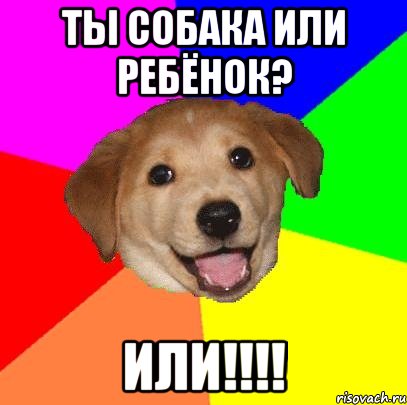 ты собака или ребёнок? или!!!!, Мем Advice Dog