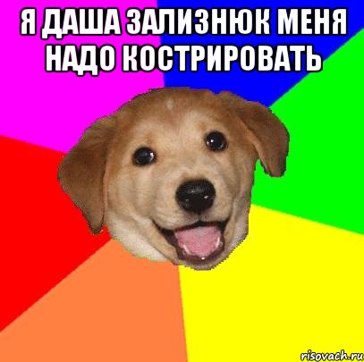 я даша зализнюк меня надо кострировать , Мем Advice Dog