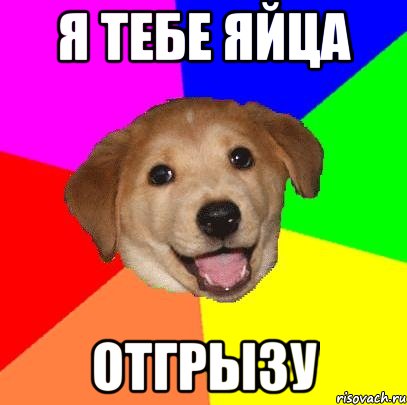 Я тебе яйца отгрызу, Мем Advice Dog