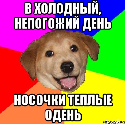 В холодный, непогожий день Носочки теплые одень, Мем Advice Dog