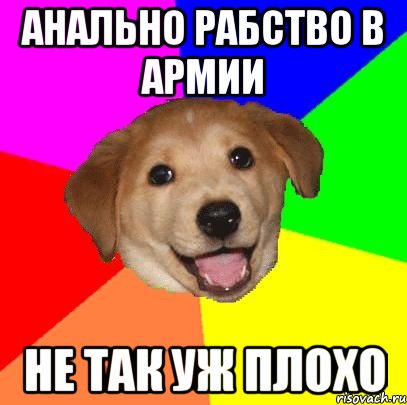 Анально рабство в армии Не так уж плохо, Мем Advice Dog