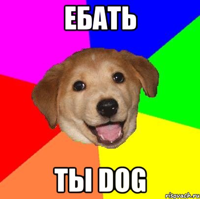 ебать ты Dog, Мем Advice Dog