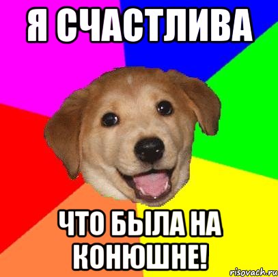 Я счастлива что была на конюшне!, Мем Advice Dog