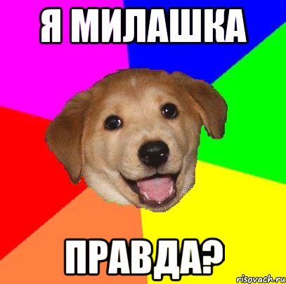 я милашка правда?, Мем Advice Dog