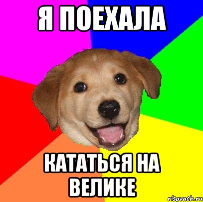 Я поехала Кататься на велике, Мем Advice Dog