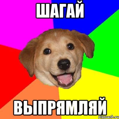 шагай выпрямляй, Мем Advice Dog