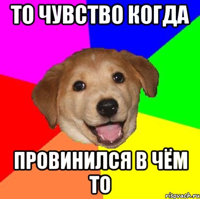 То чувство когда провинился в чём то, Мем Advice Dog