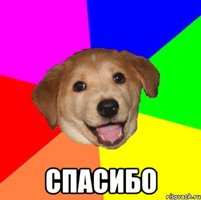  Спасибо, Мем Advice Dog