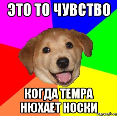 Это то чувство Когда темра нюхает носки, Мем Advice Dog