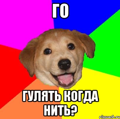 го гулять когда нить?, Мем Advice Dog