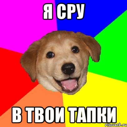 Я сру В твои тапки, Мем Advice Dog