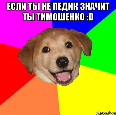 если ты не педик значит ты тимошенко :D , Мем Advice Dog