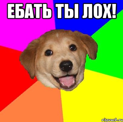 ЕБАТЬ ТЫ ЛОХ! , Мем Advice Dog