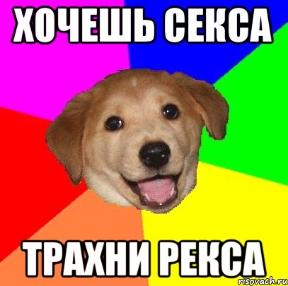 хочешь секса трахни рекса, Мем Advice Dog