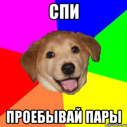 Спи Проебывай пары, Мем Advice Dog