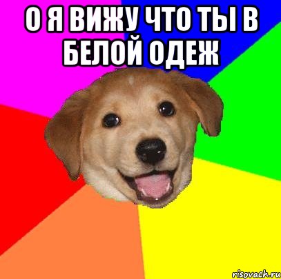 о я вижу что ты в белой одеж , Мем Advice Dog