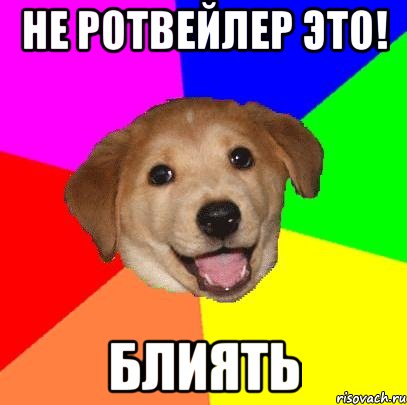 Не ротвейлер это! БЛИЯТЬ, Мем Advice Dog