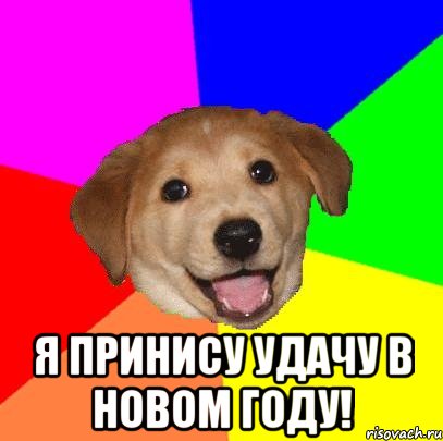  я принису удачу в новом году!, Мем Advice Dog