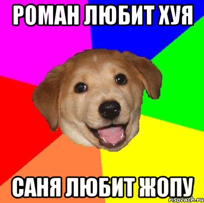 роман любит хуя саня любит жопу, Мем Advice Dog