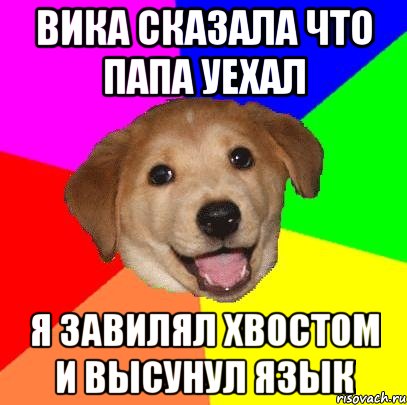 Вика сказала что папа уехал я завилял хвостом и высунул язык, Мем Advice Dog