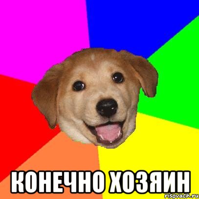  конечно хозяин, Мем Advice Dog