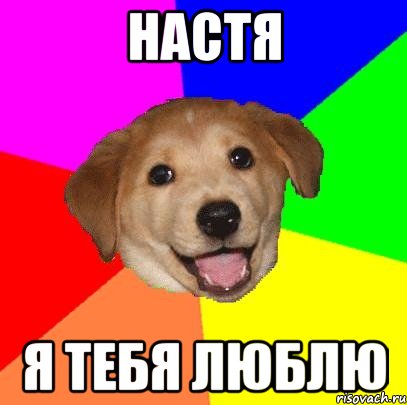 Настя Я тебя люблю, Мем Advice Dog